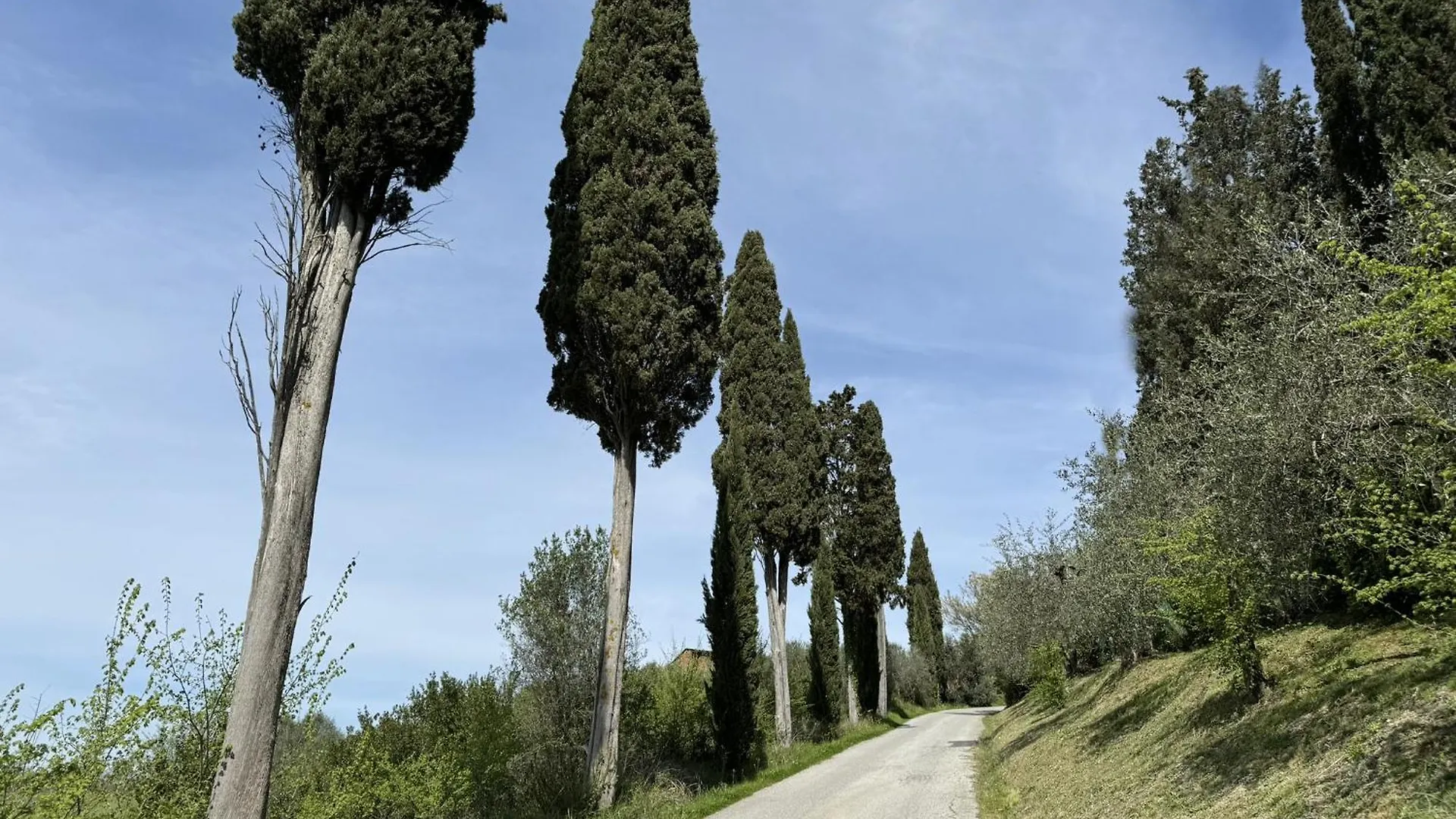 Montebello, Cuore Toscano Pian Grande